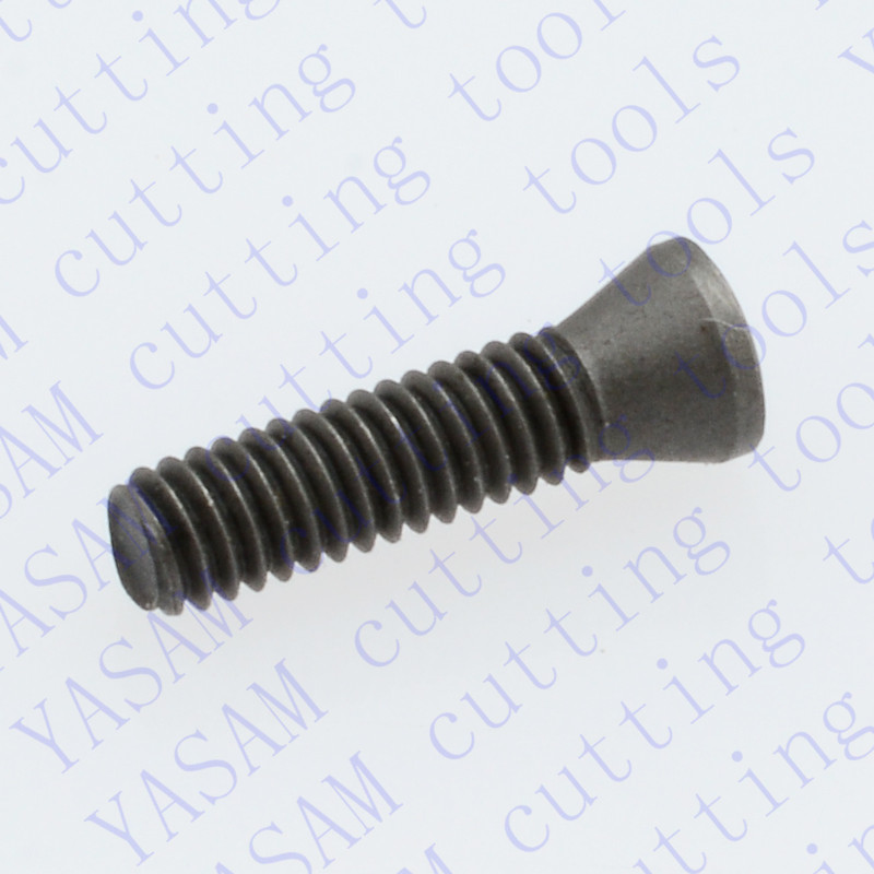 12955-M2.5x10xD3.6xT8 insert screws